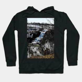 Albion Falls First Day of Spring Hoodie